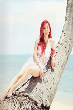 402寢室的6朵金花