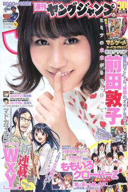 《新射雕英雄傳胡歌版》