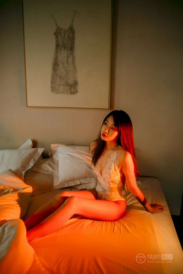 魔法使的新娘第一季