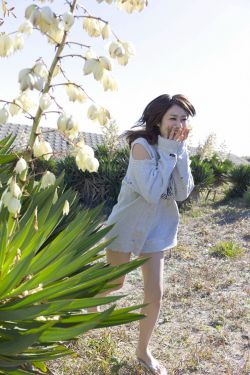 活佛濟公第二部