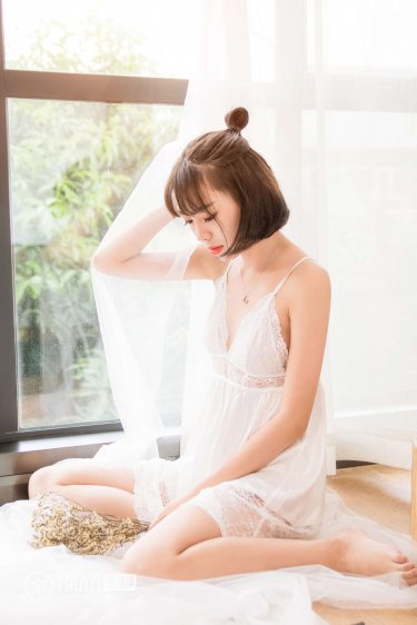 《了不起的狐貍爸爸》