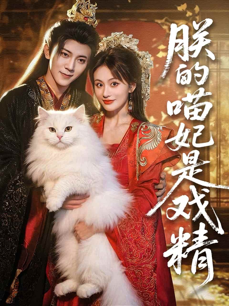 朕的喵妃是戲精
