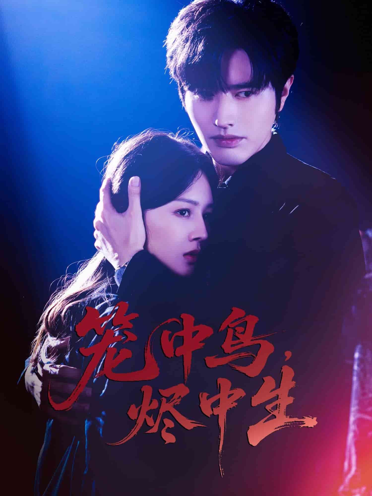 籠中鳥(niǎo)，燼中生